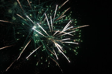 mesmerizing firework lights in the night sky