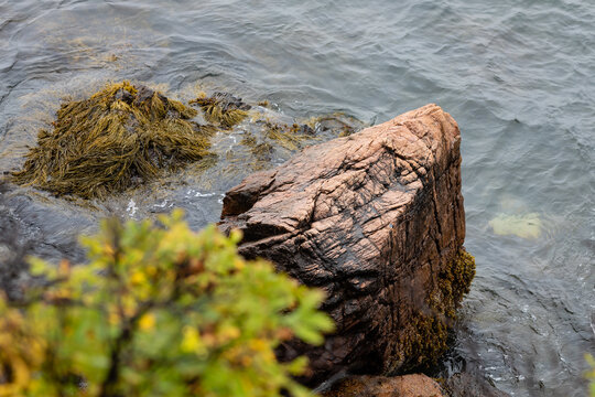 A large rock along the seashore near bass harbor lighthouse in Maine