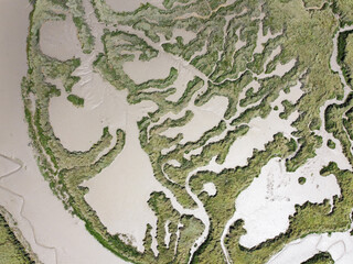 abstract view from above of wetlands