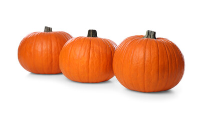 Ripe orange pumpkins isolated on white. Halloween decor