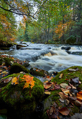 Fototapeta na wymiar Beautiful view to the river in fall