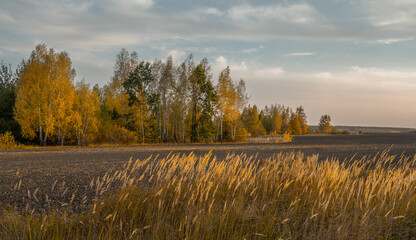A magnificent autumn multi-faceted landscape with colorful trees