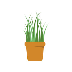 Green plant pot vector isolated illustration