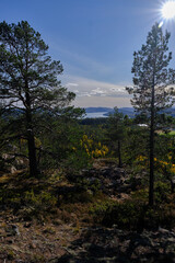 Beautiful views of the high coast from Skule mountain with forest in autumn colors and the sea in the background