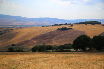 Fototapeta premium Traditional landscape of the Val D'Orcia
