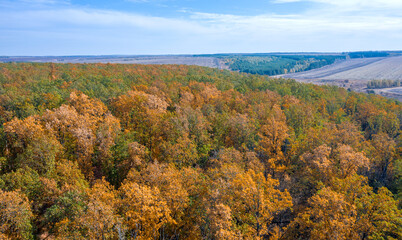 top view of the colorful autumn forest growing on the hill