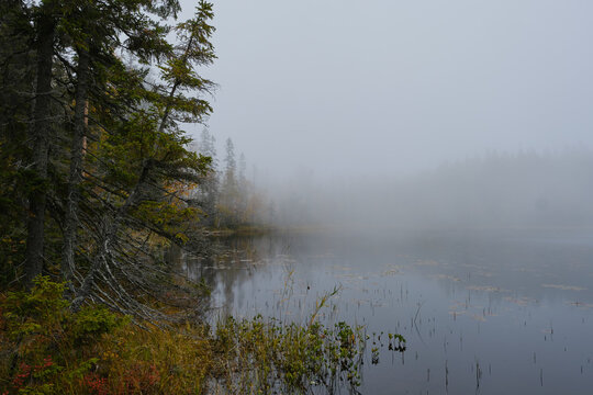 Autumn Photo of a lake and forest on a foggy morning