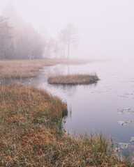 Photo of a lake with fog and forest in the background
