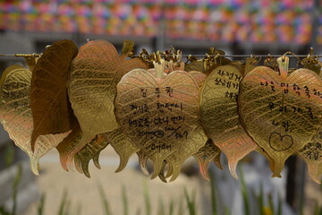 Korea Wish memo of Magoksa Temple in Jeongan, Korea 마곡사 소원판
