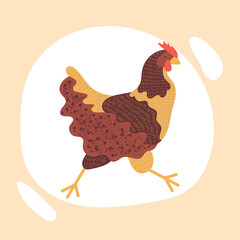 vector texture image of chicken, chicken icon isolated on background