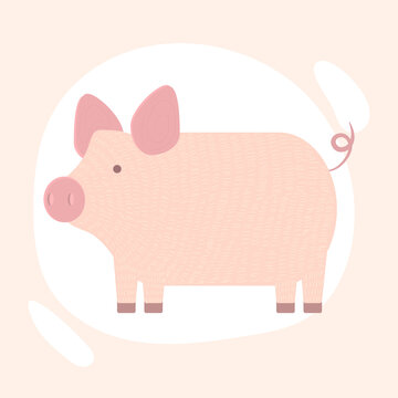 vector texture image of a pig, pig icon isolated on background