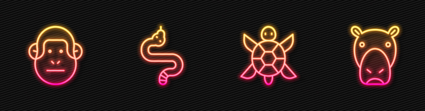 Set line Turtle, Monkey, Snake and Hippo or Hippopotamus. Glowing neon icon. Vector.