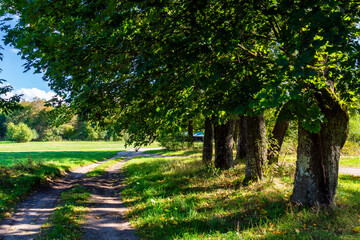 
Pólko pod Supraślem - na biwak, relaks, wędkowanie, Podlasie, Polska