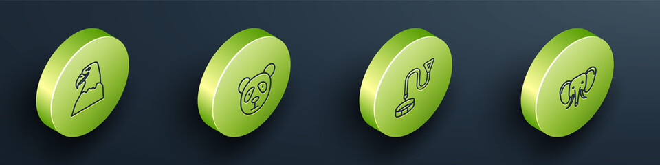 Set Isometric Eagle head, Cute panda face, Collar with name tag and Elephant icon. Vector. © Vadim