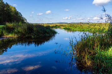 
Pólko pod Supraślem - na biwak, relaks, wędkowanie, Podlasie, Polska