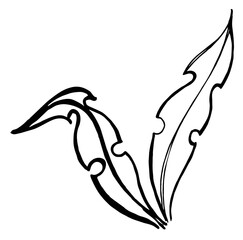 hand draw black and white vector illustration dandelion, plant parts, leaves, flowers, seeds