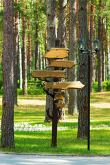 beautiful lantern with an impressive directional indicator in a pine forest