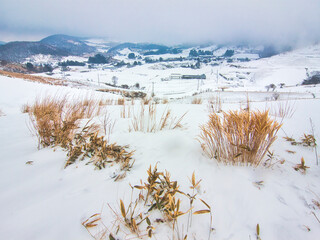 高原の雪景色