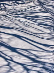 Obraz premium 残雪影模様