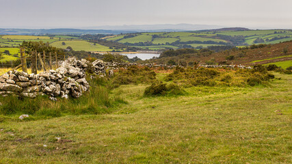 Obraz premium South east Bodmin Moor Cornwall