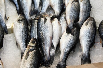 Stalls with sea food at fish market in Athens, Greece.