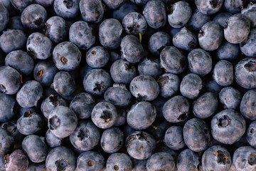 fresh berries blueberries texture background