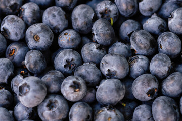 fresh berries blueberries texture background