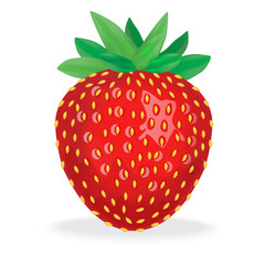 Strawberry realistic vector