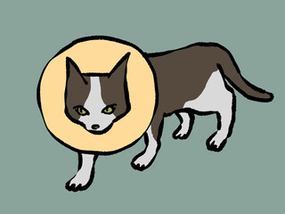 怪我をしてエリザベスカラーを付けて不機嫌な猫の手描きイラスト