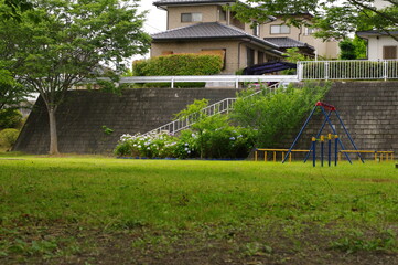 Obraz premium 人気のない紫陽花の咲くブランコのある公園