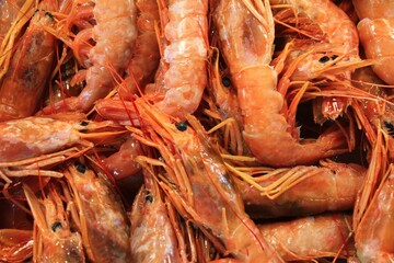 Close up of shrimps at fish market in the center of Athens in Greece.