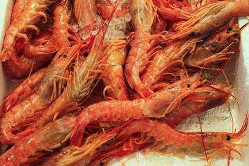 Close up of shrimps at fish market in the center of Athens in Greece.