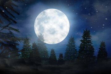 Fototapeta na wymiar Fantasy night. Full moon in sky over fir forest
