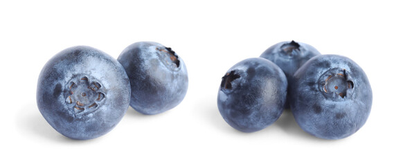 Fresh blueberries on white background. Banner design