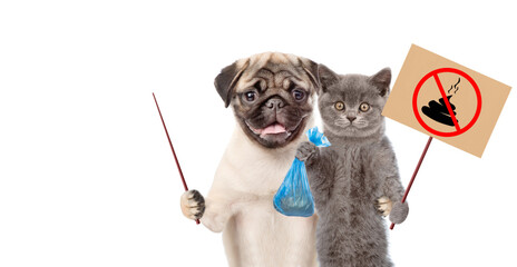 Kitten and  pug puppy holds  sign 