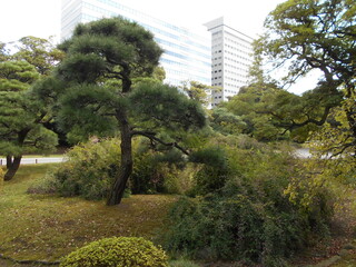 秋の日本庭園（東京）
