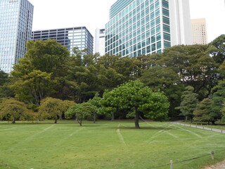 秋の日本庭園（東京）
