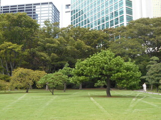 秋の日本庭園（東京）
