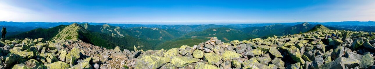 Fototapeta na wymiar beautiful panorama with alpine pine and mountains under blue sky