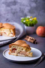 Apple pie Charlotte. A traditional biscuit cake with apples and cinnamon. Close-up.