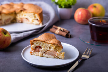 Apple pie Charlotte. A traditional biscuit cake with apples and cinnamon. Close-up.
