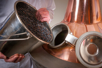 Juniper berries being added to a copper gin still - obrazy, fototapety, plakaty