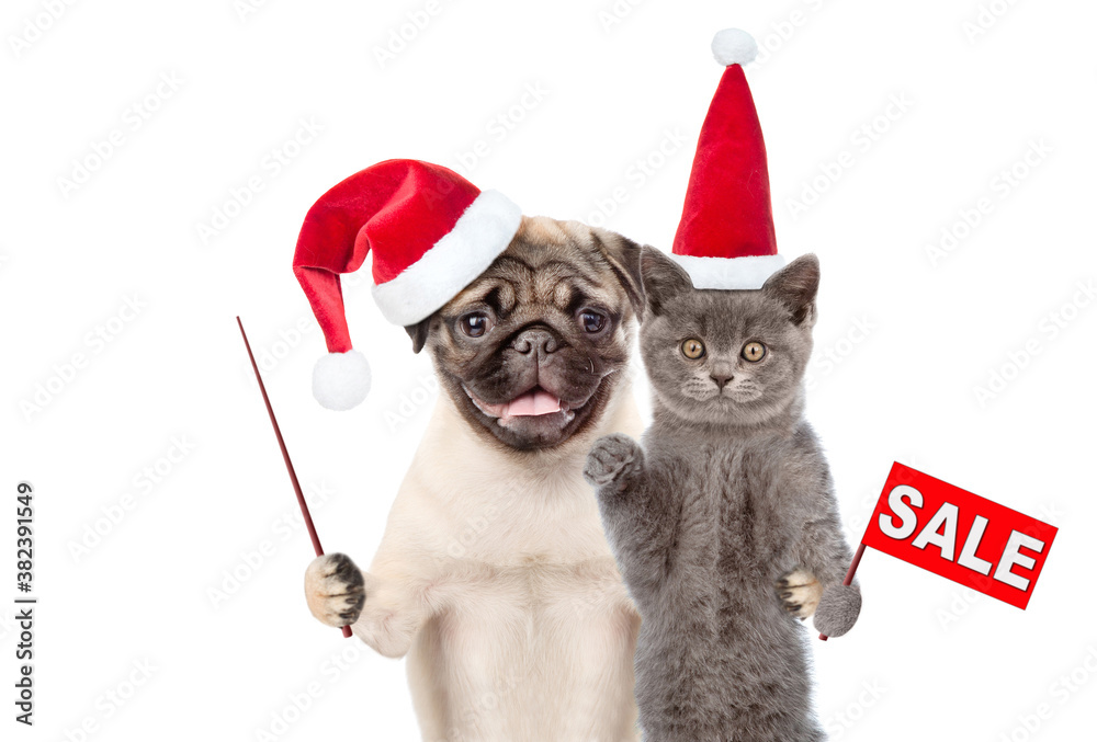Aufkleber funny cat with sales flag and dog pointing away on empty space stand together. pets wearing red chri