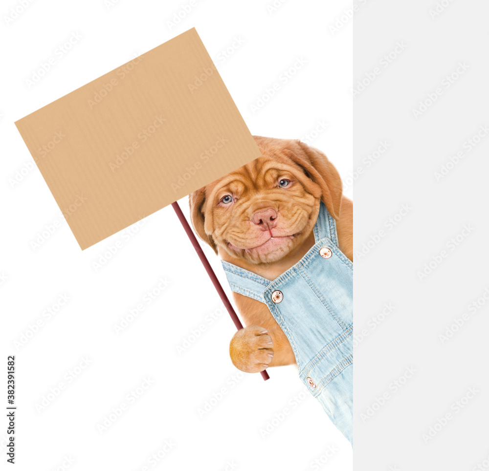 Aufkleber Smiling dog wearing overalls  holds empty placard behind empty banner. isolated on white background