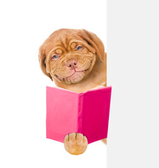 Smiling puppy holds open book and looks from behind empty white banner. isolated on white background