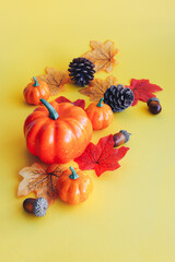 Thanksgiving day, Halloween autumn decoration from pumpkins, spruce cones, acorns and leaves on yellow background.