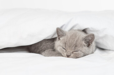 Cozy kitten sleeps on a bed at home