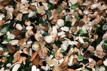 seashells and glass on the beach