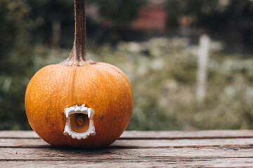 Halloween pumpkin with vampire teeth on a wooden background, Holiday decoration. Halloween mood. Funny Halloween.