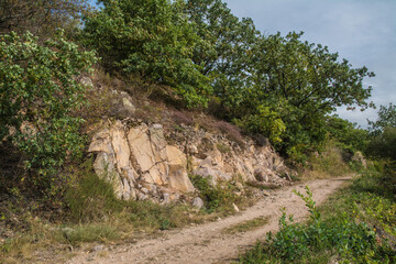 sandsteinfelsen an der Hiwweltour heideblick